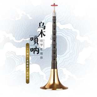 新艺演奏专业乌木唢呐乐器全套d调D调初学者入门小号喇叭哨片配件