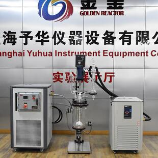 上海予华双层玻璃反应L釜实验室防爆喷四氟1机拌械搅蒸馏50EXS212
