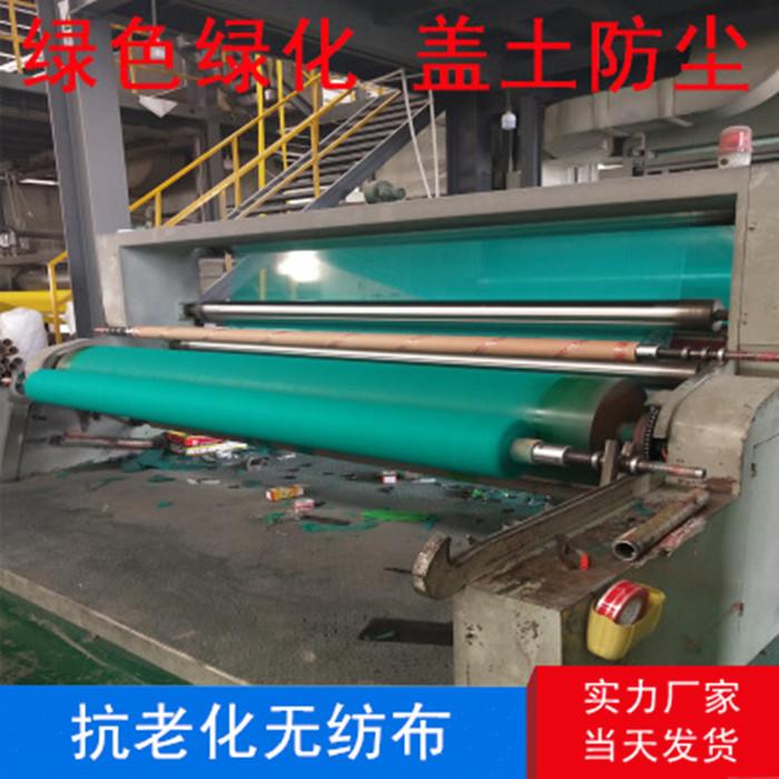 绿化无纺布绿色膜园林工地防尘盖土布护坡边坡草坪种草无纺布整卷