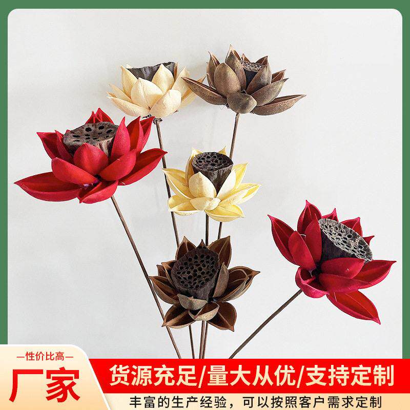 干花花束真花摆件荷花莲蓬禅意中式花瓶装饰插花家居客厅摆设小束