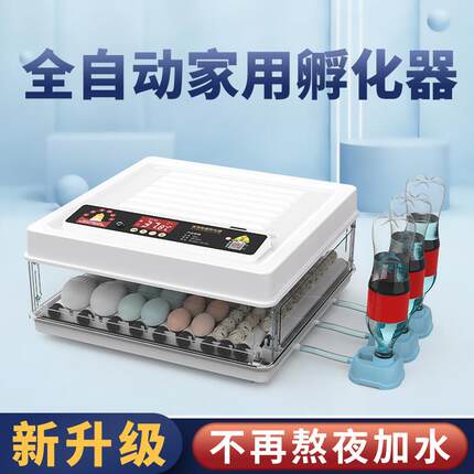 小鸡孵化器小型家用孵蛋器全自动孵化机鸡蛋鸽子智能孵化箱