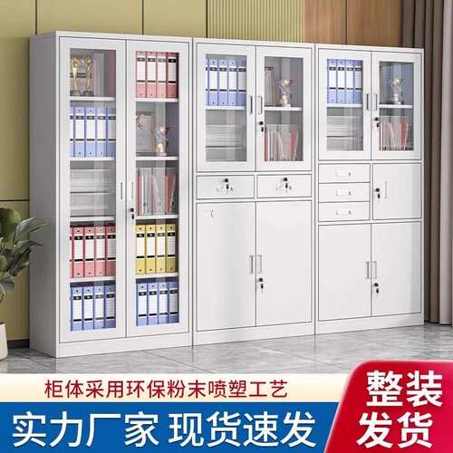 钢制文件柜档案资料柜财务凭证柜收纳储物柜加厚铁皮柜子带锁矮柜
