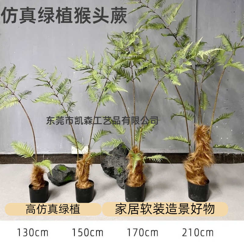 软装造景仿真猴头蕨类盆栽仿真金丝猴蕨室内落地装饰品假植物绿植