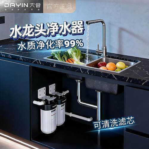 DAYIN大音大白瓶自来水井水前置全屋家用过滤器农村黄泥水净水器