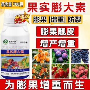 果实膨大素草莓芒果枇杷增甜剂柑橘葡萄膨大剂桃子李子水果叶面肥
