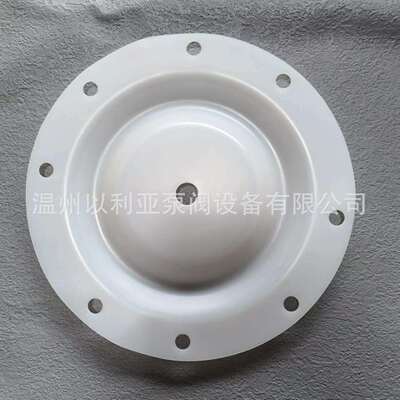胜佰德隔膜片S1FB3P1PPUS000 一寸塑料泵286-108-600 286-107-354