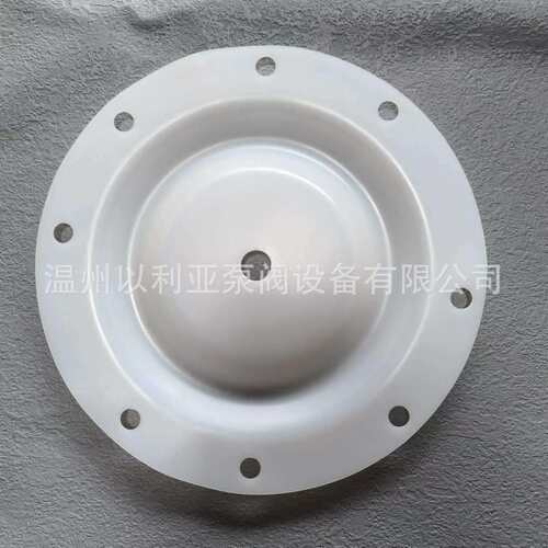 胜佰德隔膜片S1FB3P1PPUS000 一寸塑料泵286-108-600 286-107-354