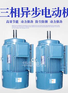 厂家货源YE3-122M-2变频电机矿山机械电动机异步电动机