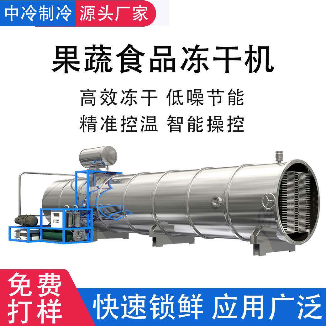 厂家直销果蔬冻干机苹果草莓药材大型商用低温锁鲜真空冷冻干燥机