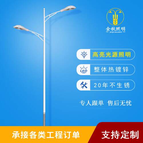 双臂路灯8米10米12米路灯新农村建设道路亮化LED路灯