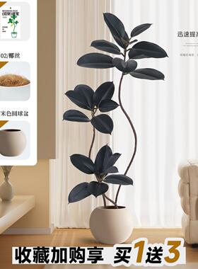 海虹同款假植物懒人绿植高端轻奢仿生盆栽落地客厅大盆景仿真绿植