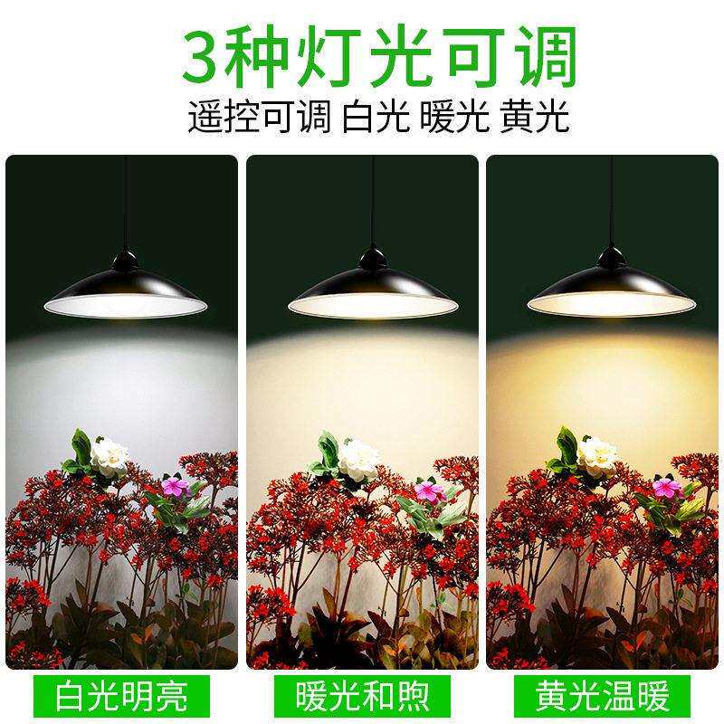 颖朗能路灯吊灯太庭院阳花别墅凉亭照明亮度复园古KET挂灯