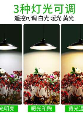 灯朗太阳能路灯吊WMO庭院花园墅凉亭照明亮度复颖古别挂灯