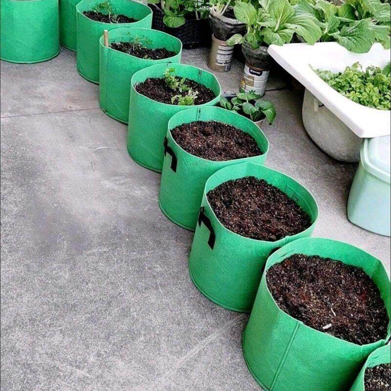 种植箱阳台楼顶种菜盆不织布种植袋多肉花盆美植袋蔬果月季育苗盘