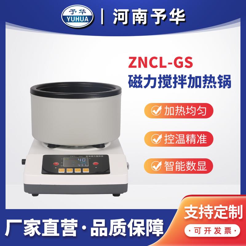 智能定时磁力搅拌加热锅ZNCL-GS河南予华厂家直销