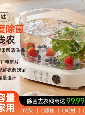 禾兰仕果蔬清洗机食材净化机器家用多功能消毒机自动洗水果蔬菜