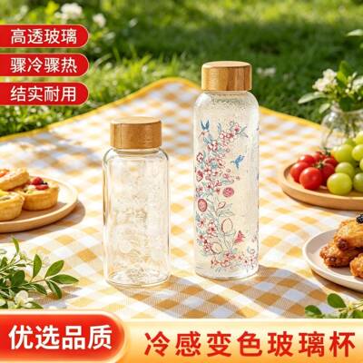 变色冷萃杯550大容量高硼硅温变玻璃冷泡杯玻璃杯玻璃瓶冷变杯