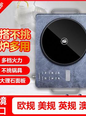 出口110V美规220V欧规电陶炉多功能家用定时大功率一炉多用电磁炉