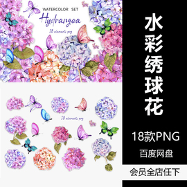 手绘绣球花水彩插画简笔画美式花卉跨境电商PNG设计素材