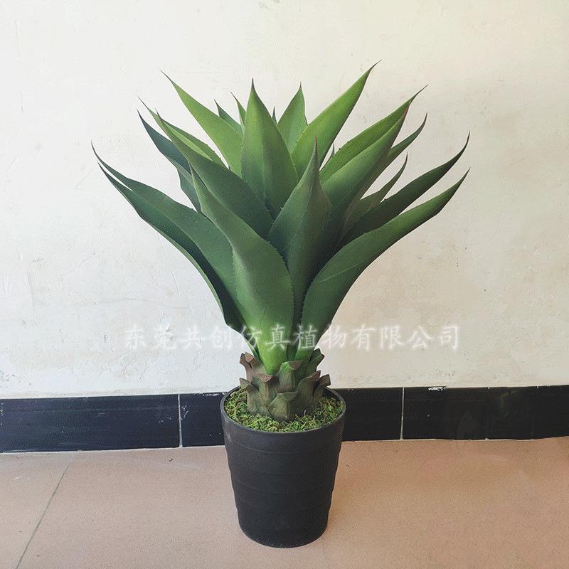 厂家供应绿植仿真盆栽剑麻室内小盆景摆放装饰皇冠兰软刺龙舌兰