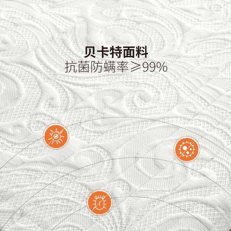 棕榈榻榻米天然3E椰棕环保垫家用棕垫双人护脊薄款硬垫子加硬护脊