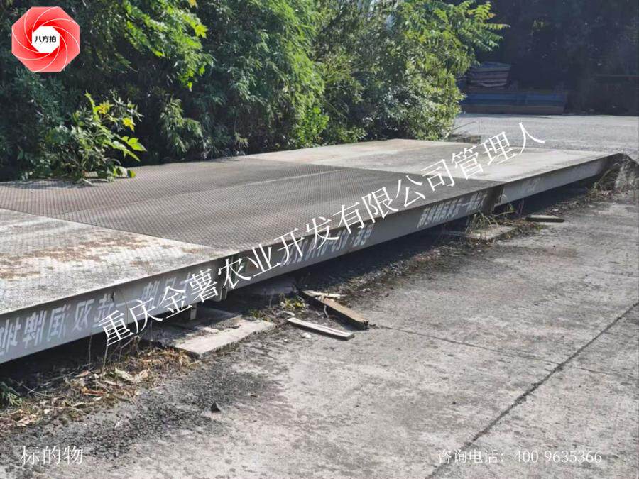 12月26日重庆某公司名下电子汽车衡(地磅)2台网络拍卖公告