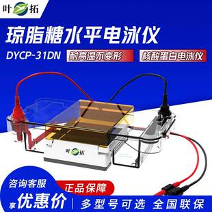 上海叶拓 YT-MINI2 电泳仪 可搭配电源DYY-6C/6D 蛋白电泳仪