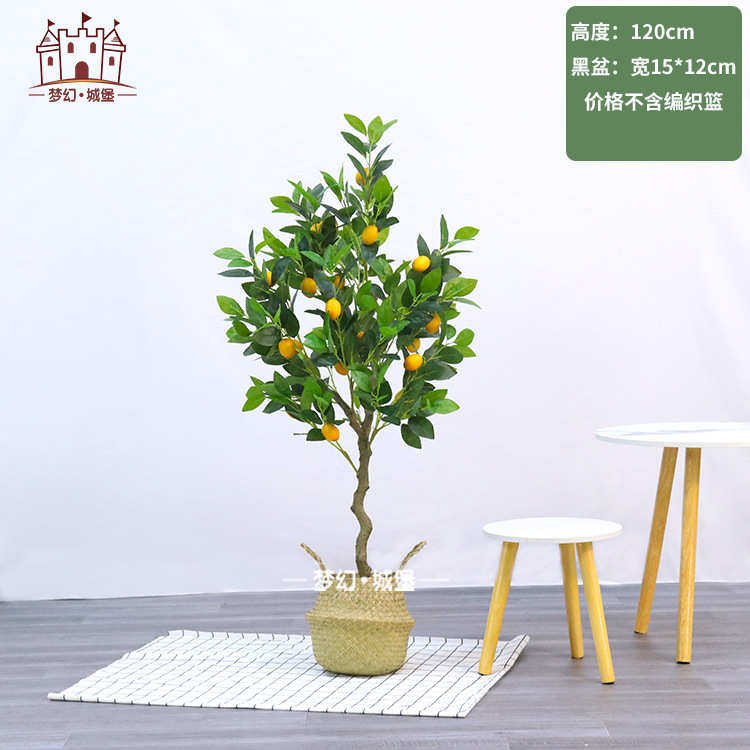 盆景树落地摆件盆栽植欧风树绿假植物水果装饰柠檬室内仿真北