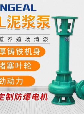 泥浆泵NL100-16立式无堵塞液下污水泥浆泵15kw抗洪排涝清淤泥浆泵