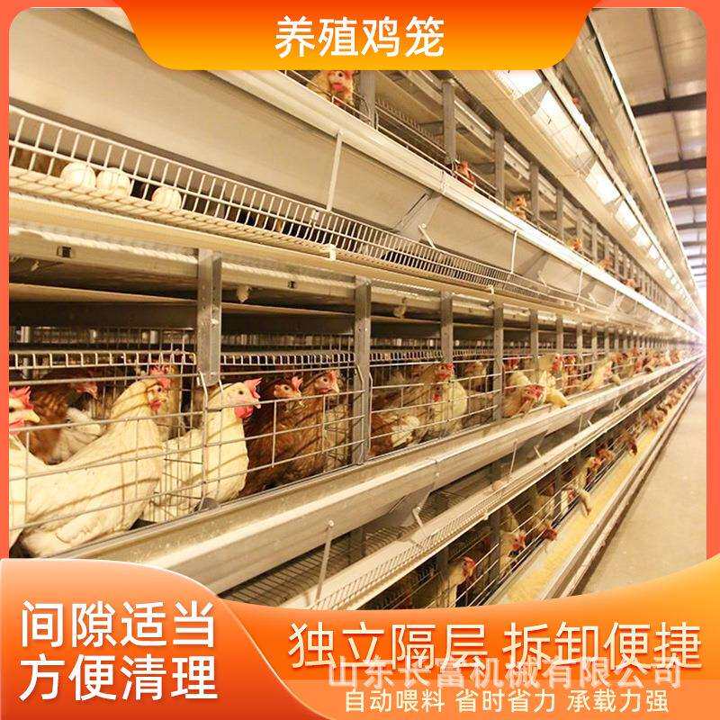 全自动层叠式框架肉鸡笼半自动立体镀锌鸡舍家用养殖层叠式蛋鸡笼