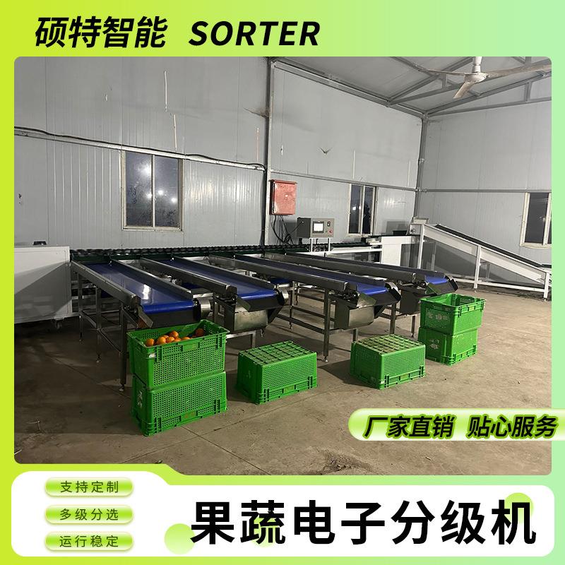 沃柑橘子智能分选等级分拣机全自动奇异果桃子重量电脑选果机