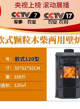 生物颗粒取暖炉家用室内木柴颗粒两用烤火壁炉冬季碳炉农村取暖炉