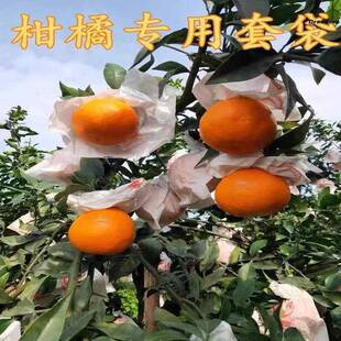 。绿果林套袋柑橘套袋耙耙柑专用袋橘子套袋橙子套袋丑橘袋春见爱