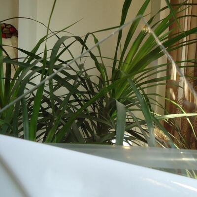 mm聚碳酸酯板mmPC板高端透明板mm耐力板毫米PC耐力板