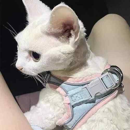 牵引绳猫咪衣服外出遛猫专用背心式胸抱婴袋宠物防挣脱神器小型犬