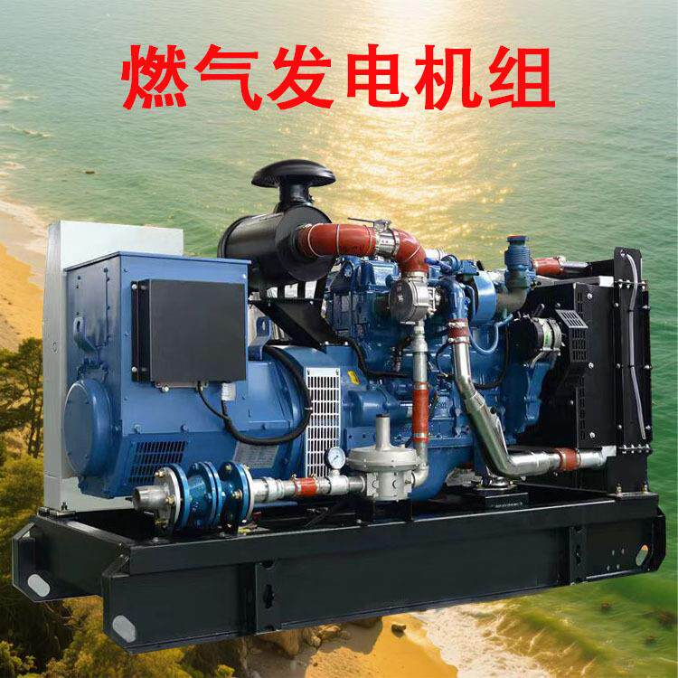 燃气机组 养猪场沼气发电 生物质秸秆发电机组 CNG LNG LPG