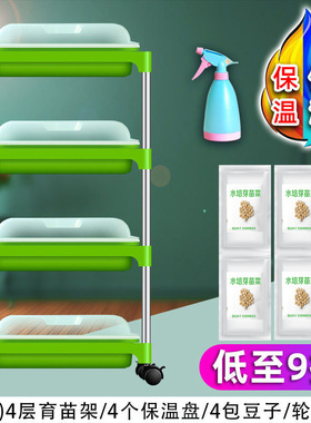豌豆苗芽苗菜育苗育苗豆芽花瓶