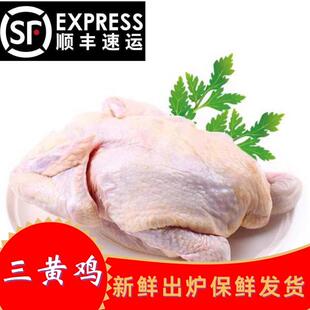 3只三黄鸡农家散养走地鸡整只新鲜现杀白条鸡童子鸡冷冻非老母鸡
