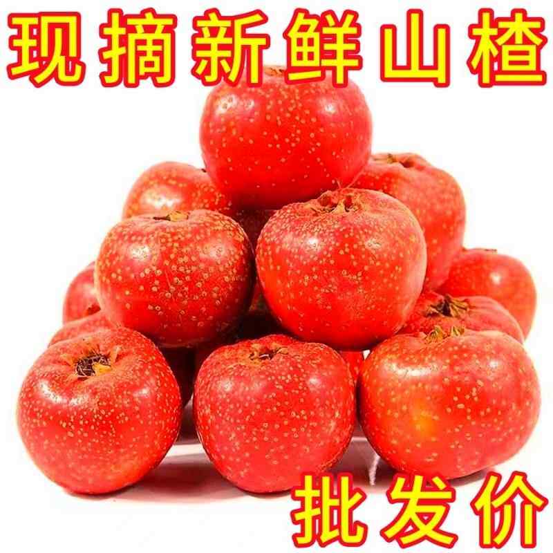 新鲜山楂果5斤装河北水果现摘现发大果食用山里红果冰糖葫芦