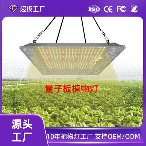 大棚生长灯100W量子板植物灯草莓番茄西红柿LED全光谱多肉补光灯