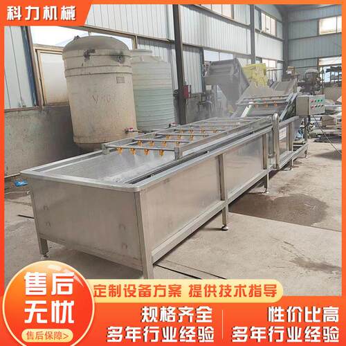 厂家供应气泡清洗机 不锈钢脱盐蔬菜清洗机 全自动果蔬清洗机