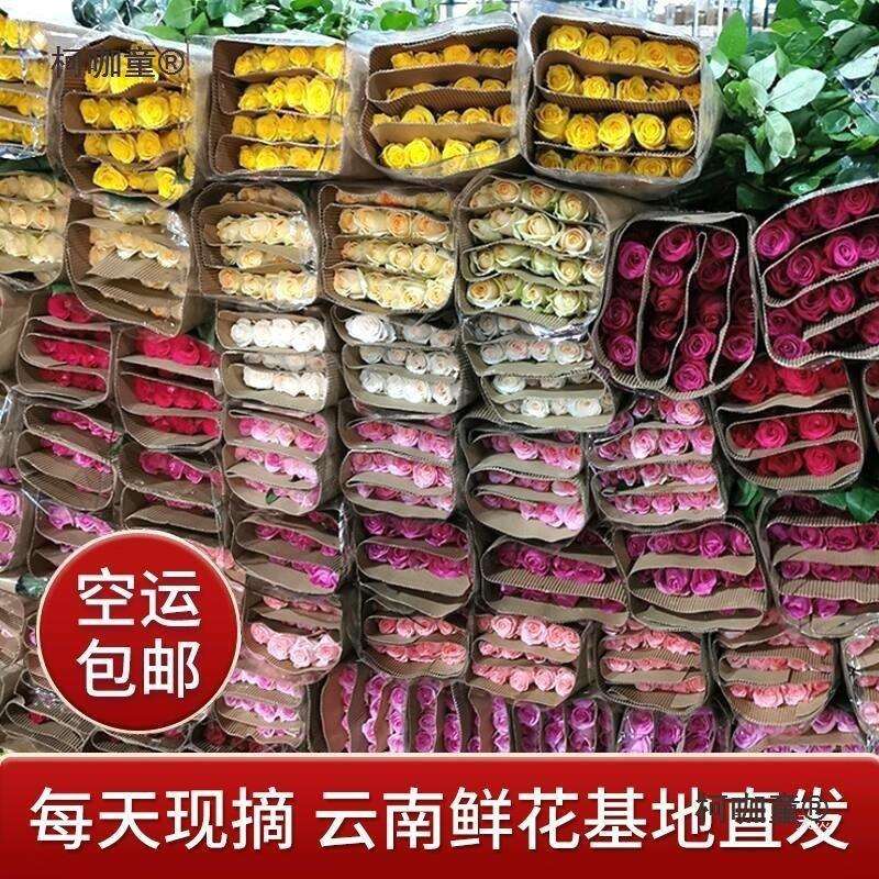 速递直发斗南基地昆明办公室玫瑰花鲜花云南家用直批新麦太保