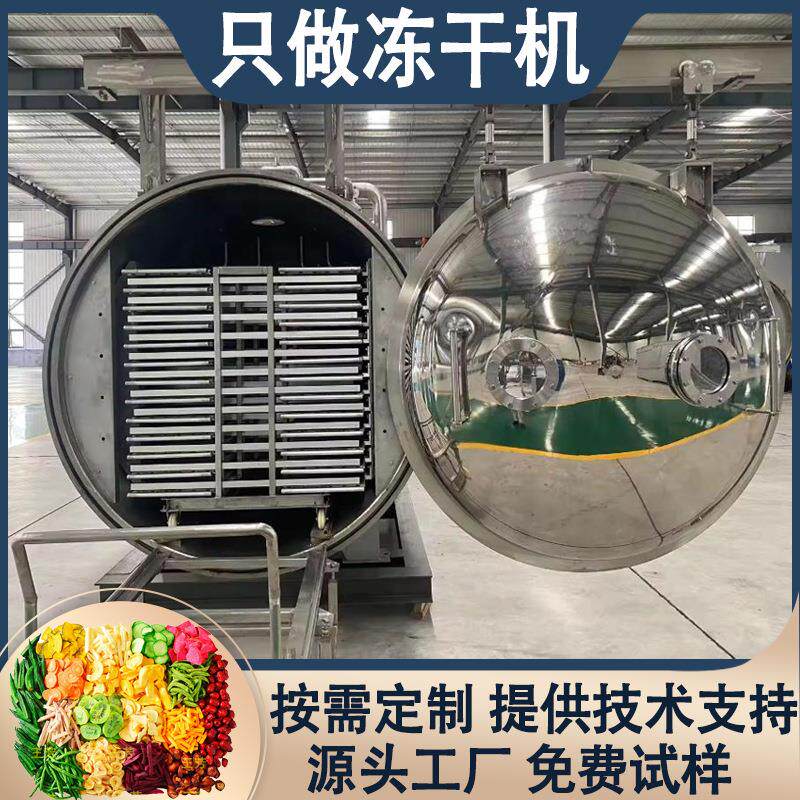无花果粉冷冻干燥机工业食品果蔬冻干机冻干肉猫零食设备商用