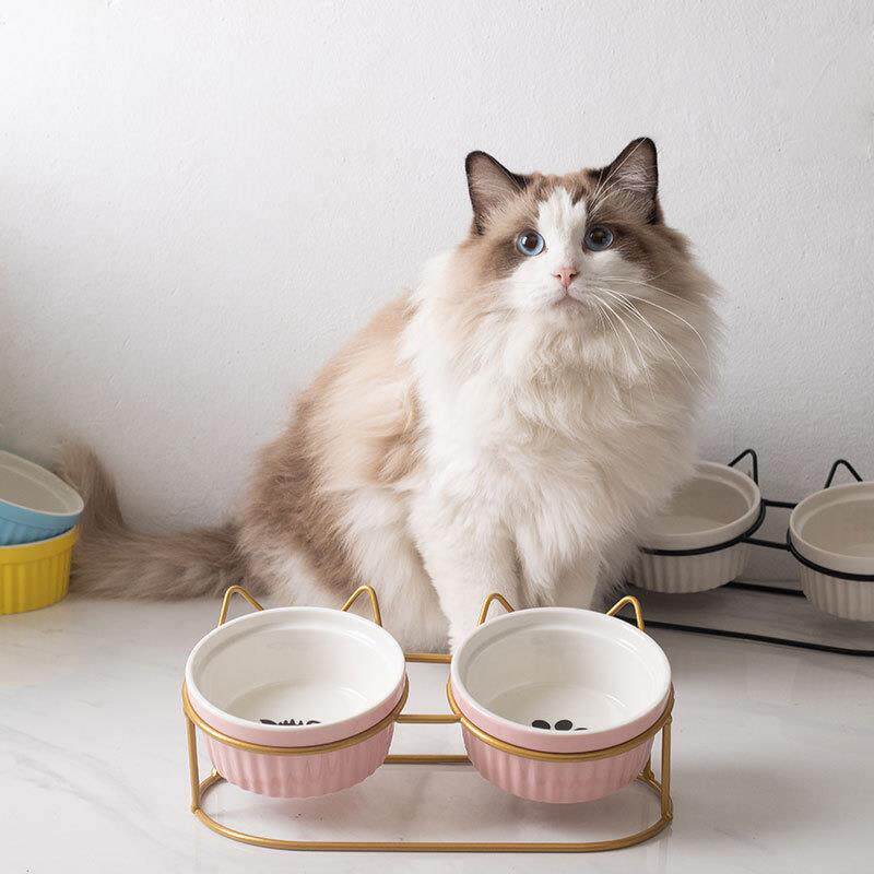 陶瓷猫碗高脚护颈双碗固定架防打翻宠物猫狗食盆水碗倾斜保护颈椎