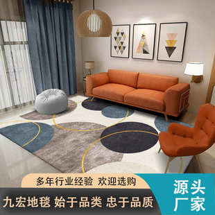 轻奢地毯批发客厅家用大面积茶几地毯地垫卧室房间少女床边毯子