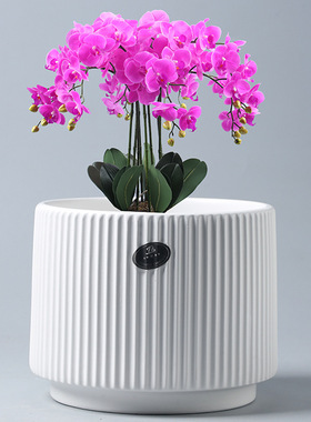 陶瓷花盆带托盘直销绿植蝴蝶兰专用盆特价家用客厅品质好货