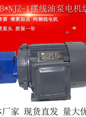 BB-B16NJZ-1/B25NJZ-1摆线 线齿轮油泵电机BB-B32N/B20/B40NJZ-1