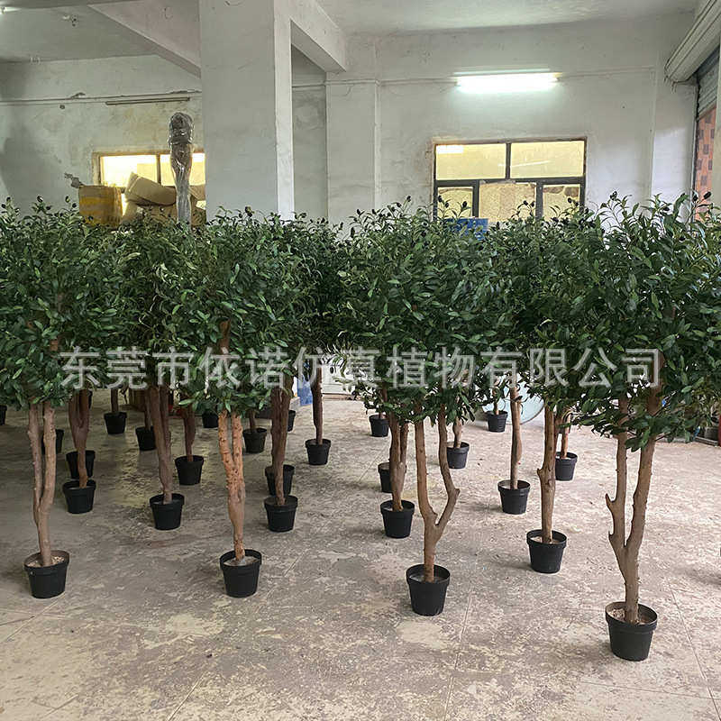 装饰橄榄树木杆植物橄榄树植绿仿真人造造景真 盆栽