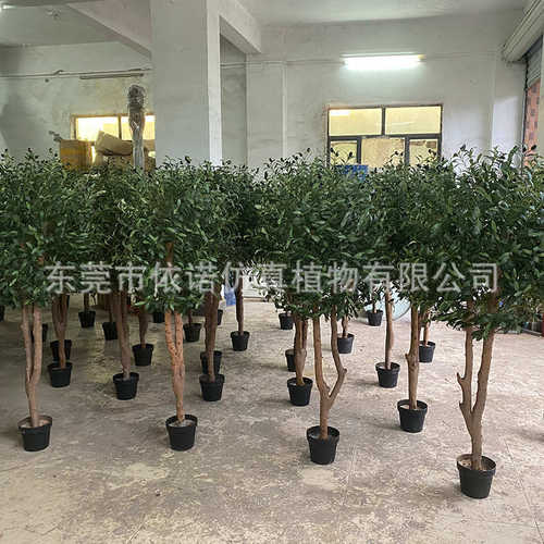 仿真橄榄树 绿植装饰盆栽造景 人造植物真木杆橄榄树