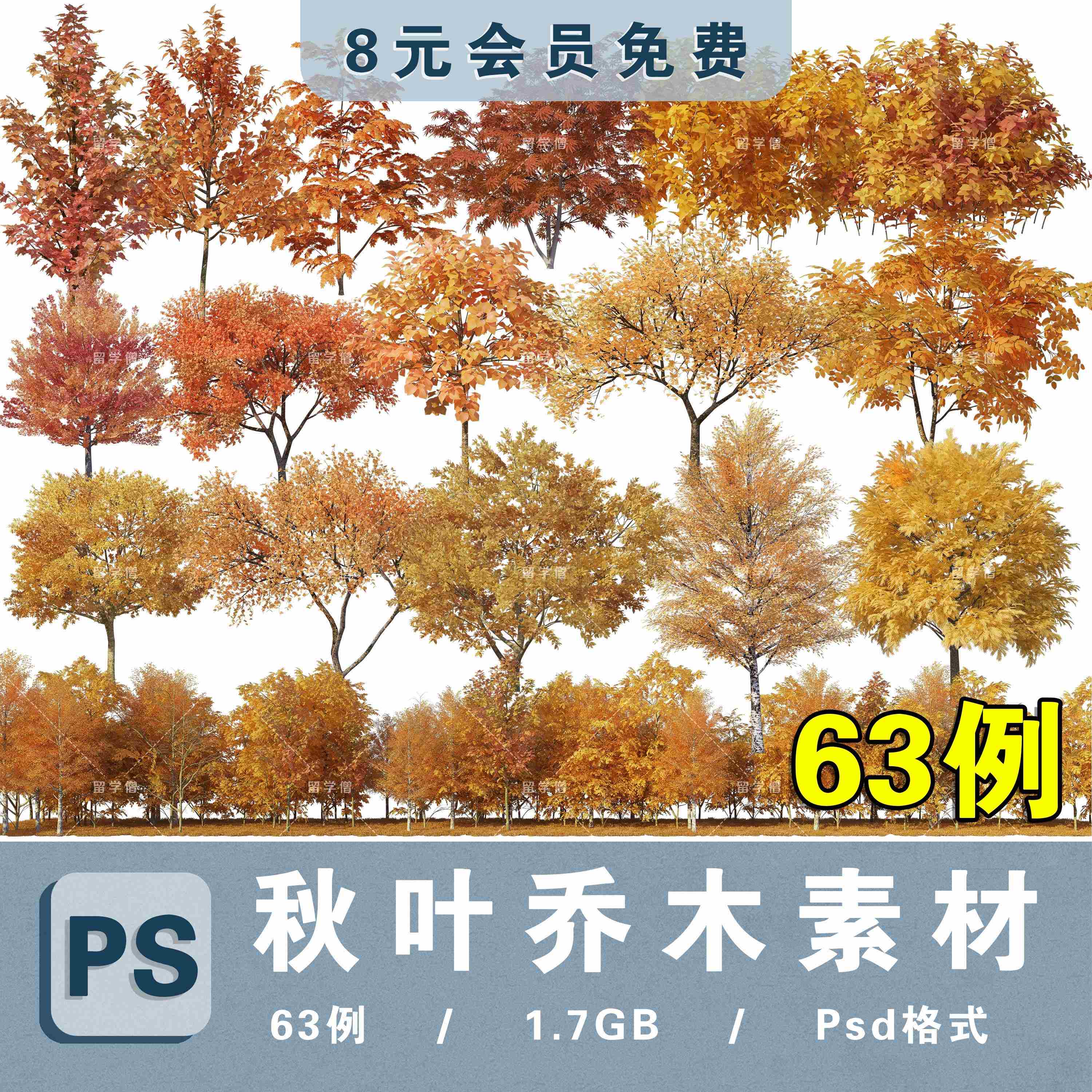 景观后期高清秋叶树木树林秋季黄叶乔木PSD分层免抠植物图片素材